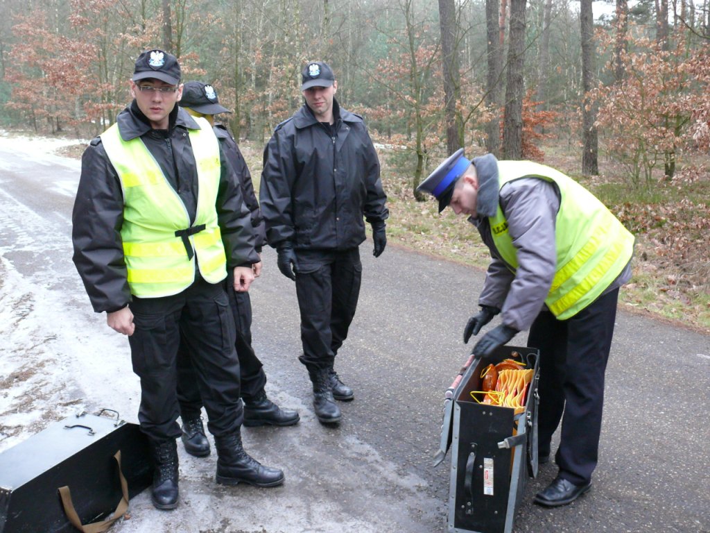 kolczatka_1