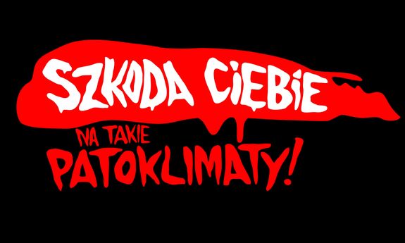 obraz kolorowy, napis Szkoda Ciebie na takie patoklimaty