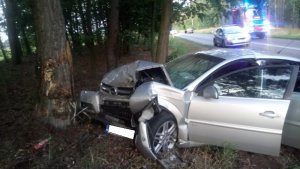 Fotografia kolorowa - Opel Vectra rozbity na drzewie