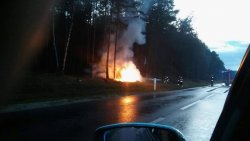 zdjęcie w kolorze - strażacy gaszący płonące na skraju lasu auto osobowe